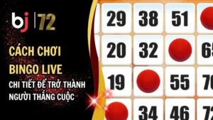 Cách Chơi Bingo Live - Chi Tiết Để Trở Thành Người Thắng Cuộc